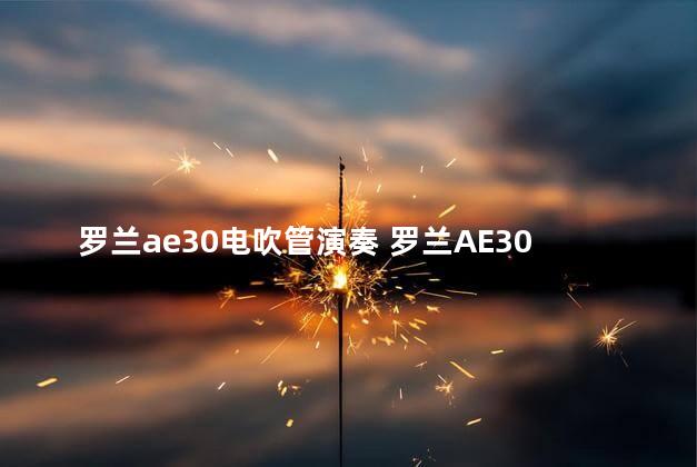 罗兰ae30电吹管演奏 罗兰AE30电吹管是国产的吗